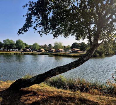 535075925_4223250584611418_5474326609382980079_n